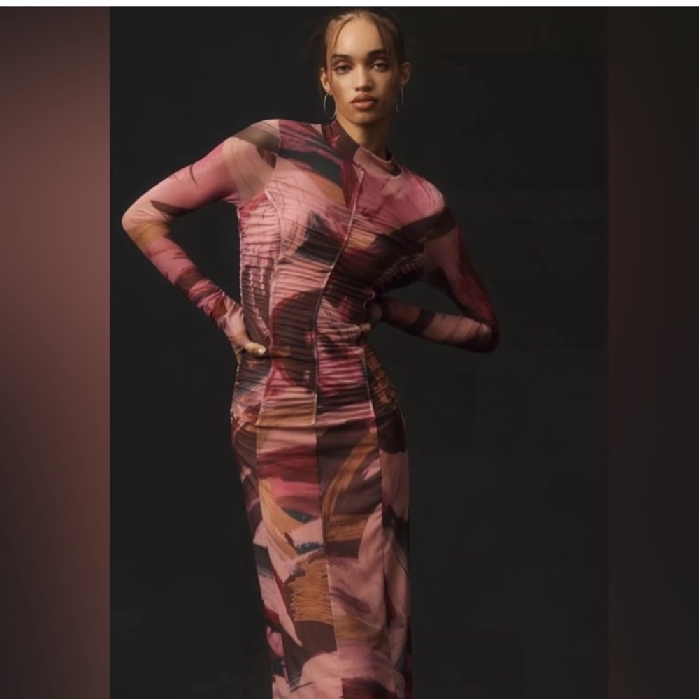 Anthropologie Pinks, Mauves, & Brown Long Sleeve Mesh fitted Dress
